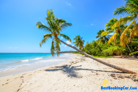 Le Top 10 des activités à La Martinique