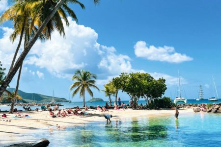 Relaxing Caribbean beach scene with palm trees and turquoise waters in Martinique.