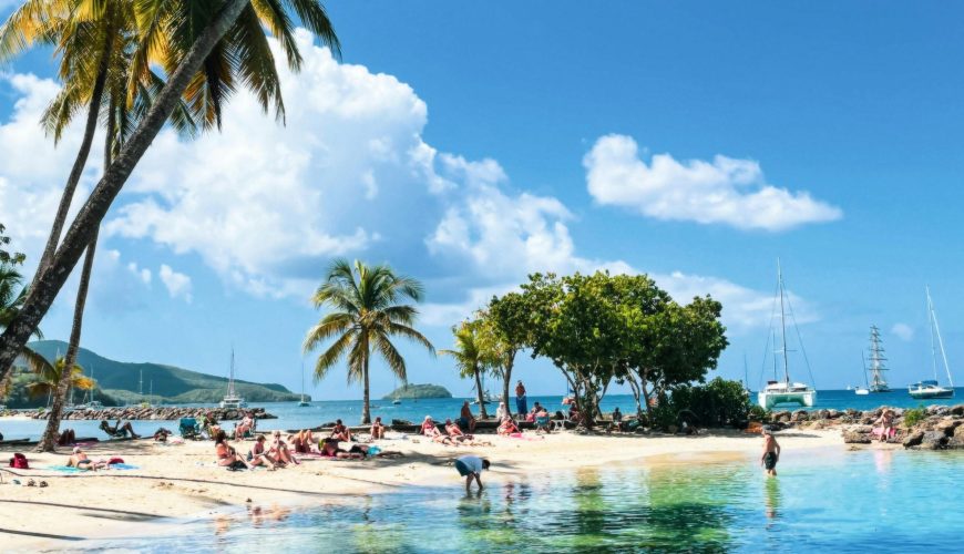 Relaxing Caribbean beach scene with palm trees and turquoise waters in Martinique.