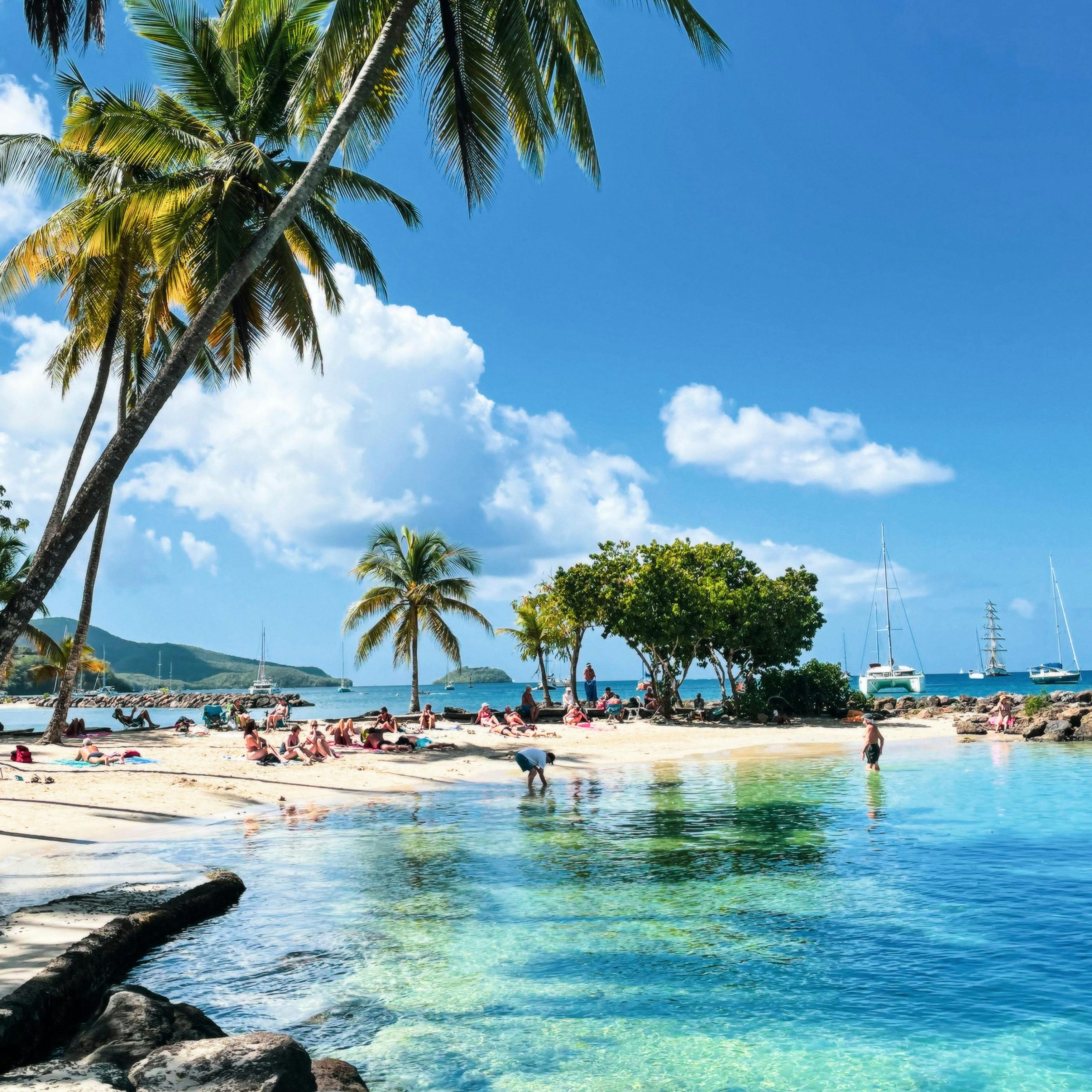 Relaxing Caribbean beach scene with palm trees and turquoise waters in Martinique.