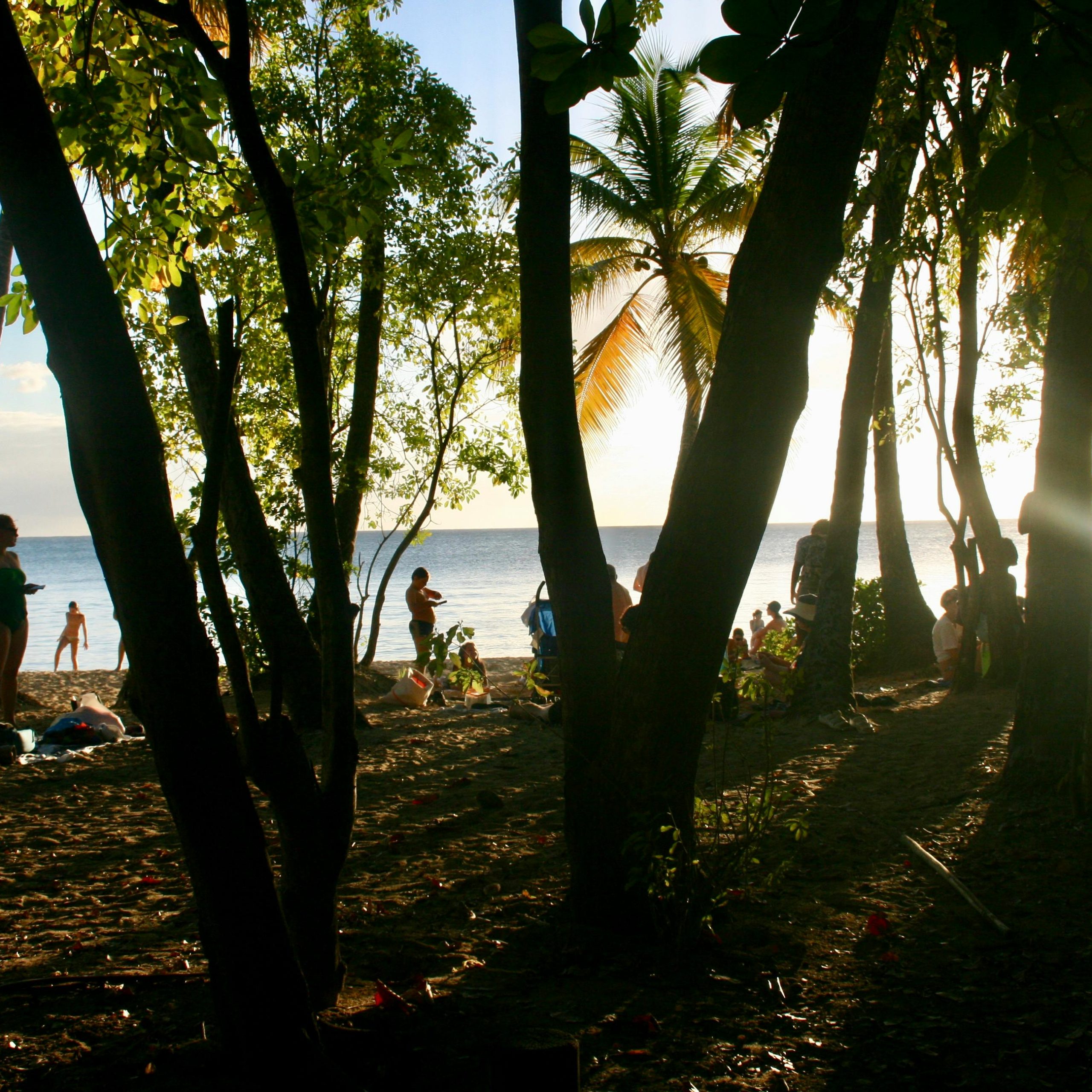 Silhouettes of people enjoying a sunset on a Martinique beach framed by lush trees.