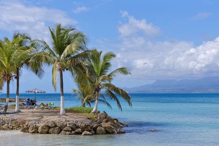 beach, coconut, sea, guadeloupe, tropical, caribbean, sand, palm, island, nature, ocean, paradise, exotic, travel, sun, heavenly, bay, tourism, holiday, heat, blue, cloud, horizon, color, water, guadeloupe, guadeloupe, guadeloupe, guadeloupe, guadeloupe