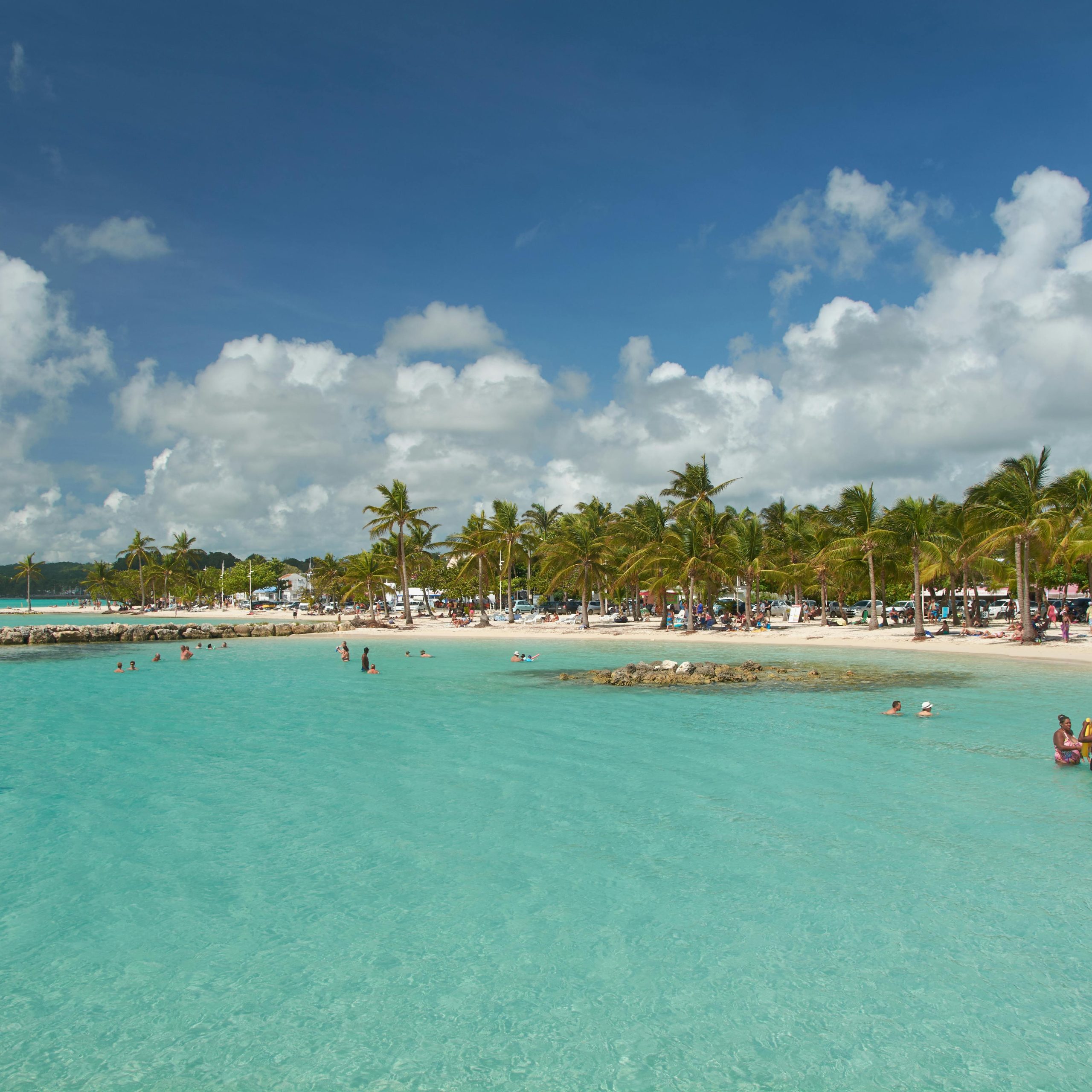 Idyllic tropical beach with palm trees and turquoise waters in Sainte-Anne, ideal for vacation and leisure activities.
