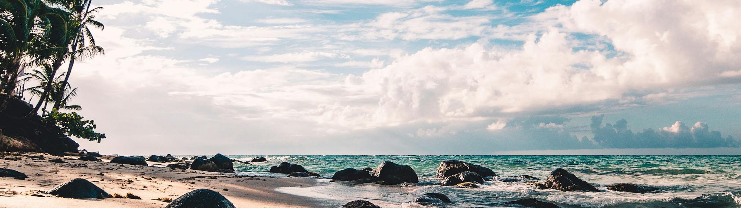 Experience the serene beauty of a tropical beach in RAAS, Nicaragua, with palm trees and ocean waves.