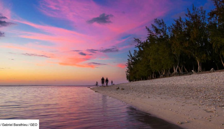 Le N 1 des sites de Location à La Réunion