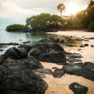 A tranquil beach scene at sunrise with volcanic rocks and lush greenery in East Java, Indonesia.