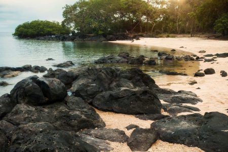 A tranquil beach scene at sunrise with volcanic rocks and lush greenery in East Java, Indonesia.