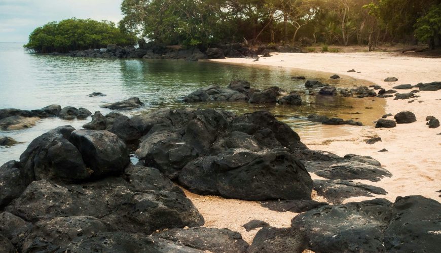 A tranquil beach scene at sunrise with volcanic rocks and lush greenery in East Java, Indonesia.