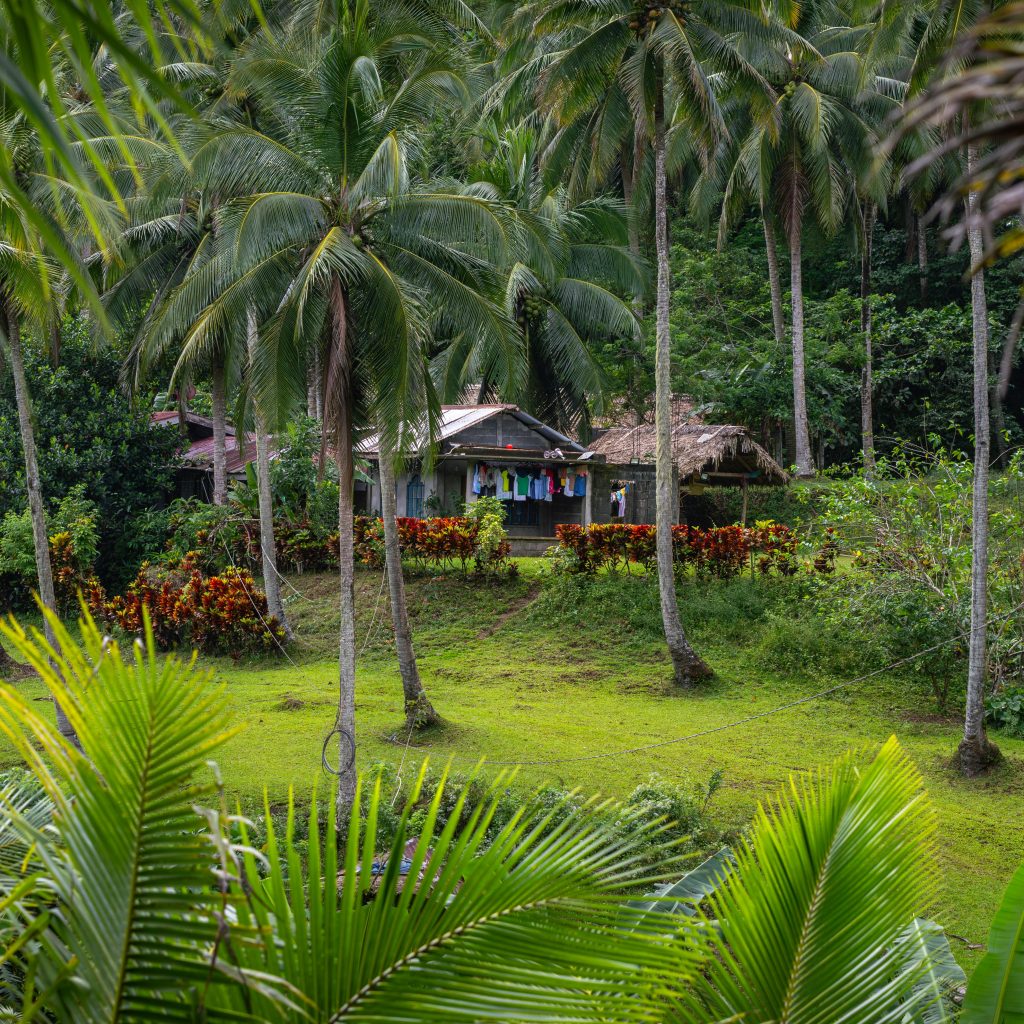 Picturesque view of tropical village in Camalig, Bicol, surrounded by lush greenery and palm trees.