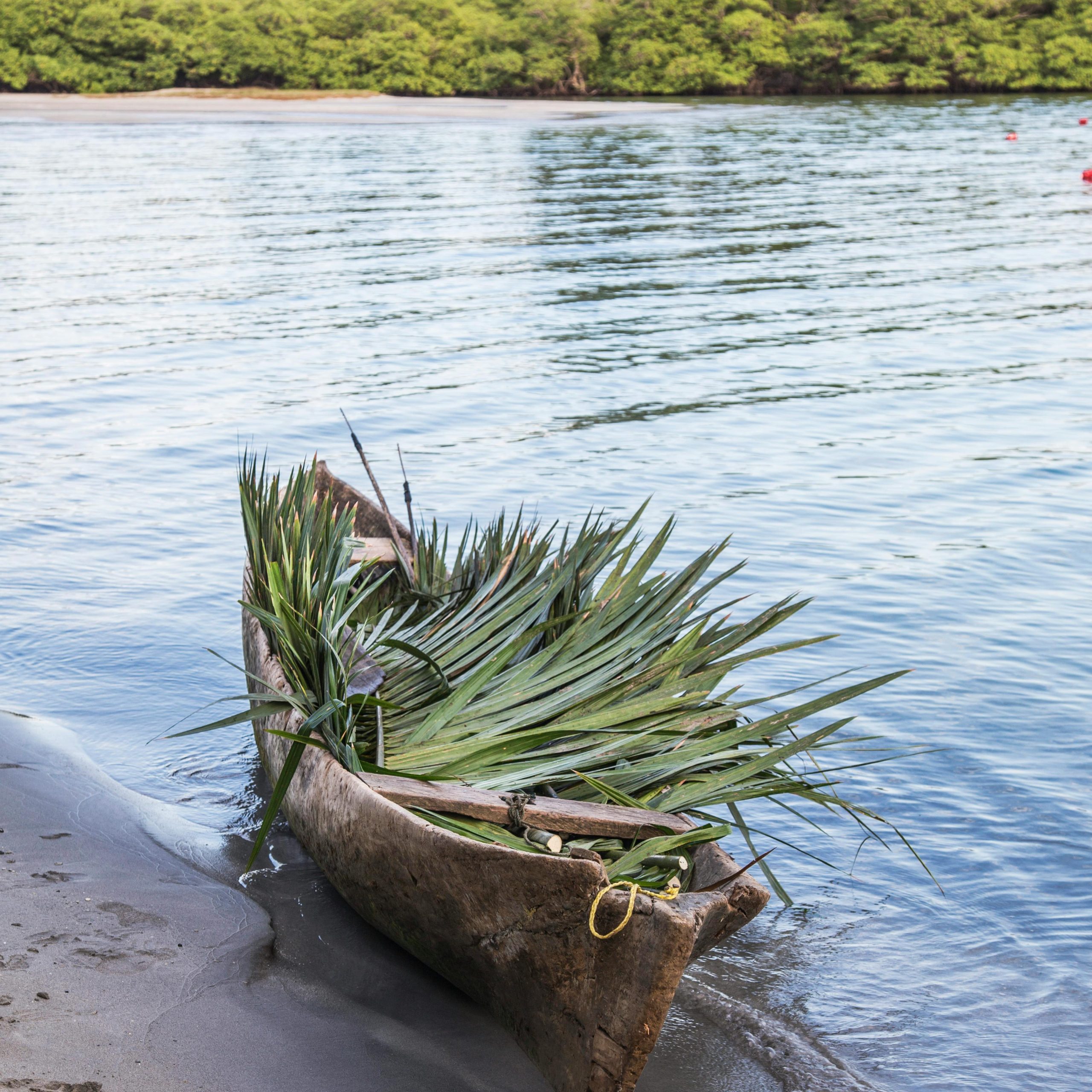 A rustic wooden boat filled with foliage rests on a peaceful lakeside shore, surrounded by lush greenery.