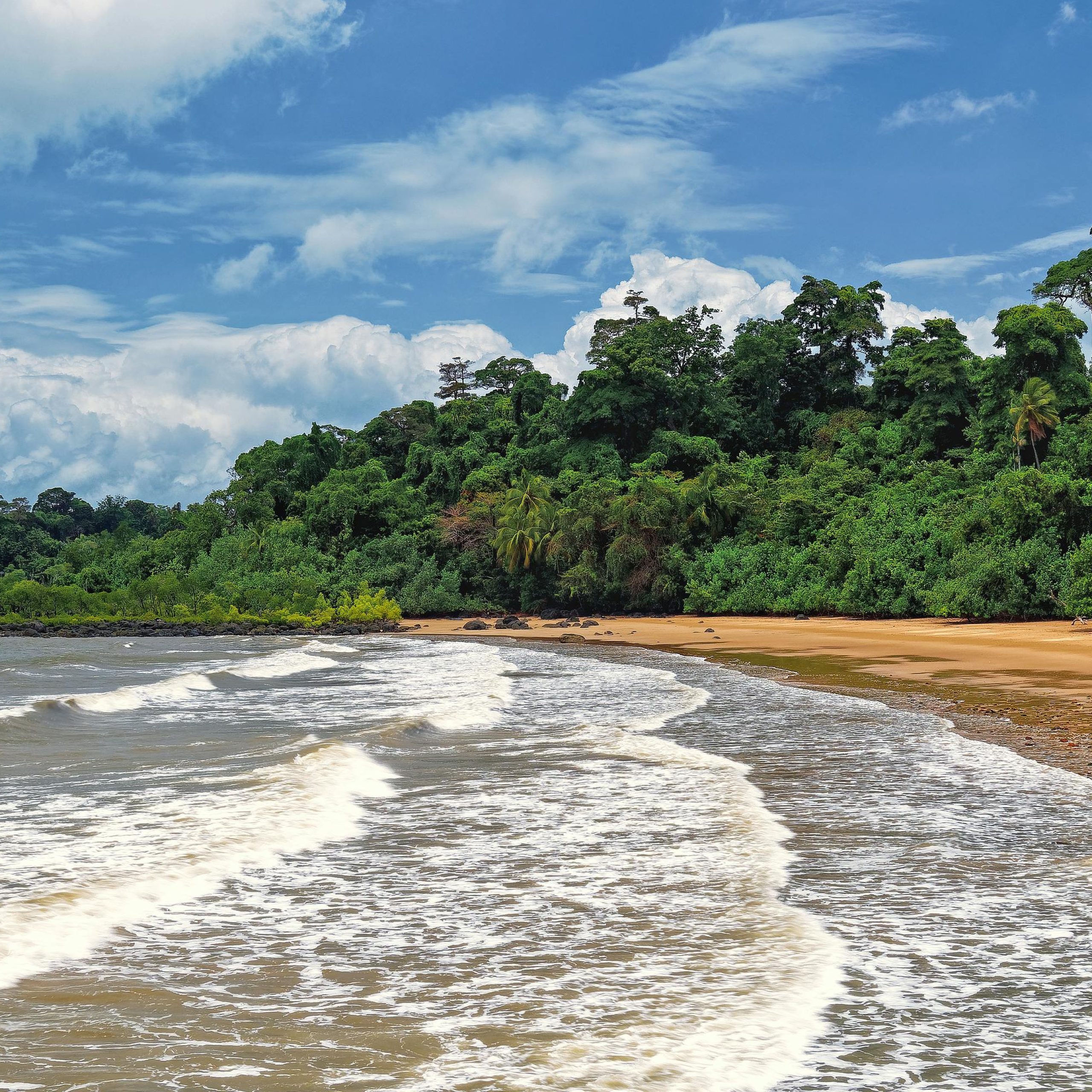 Scenic view of a tropical beach with lush green forest under a blue sky.