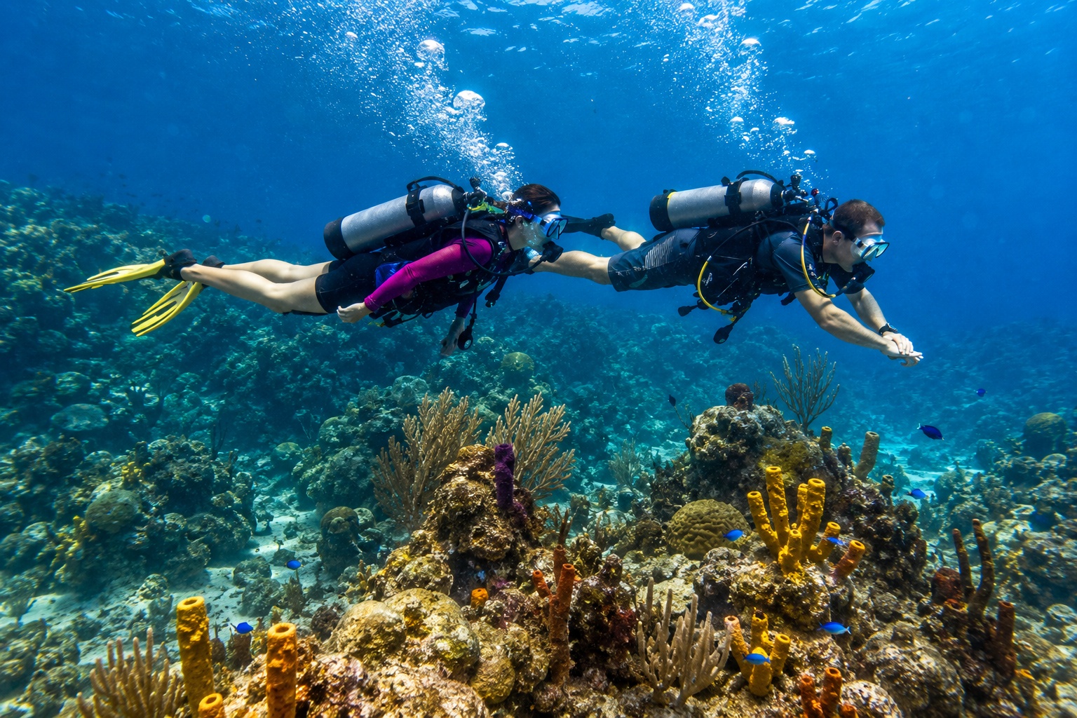 Les meilleures activités en Guadeloupe