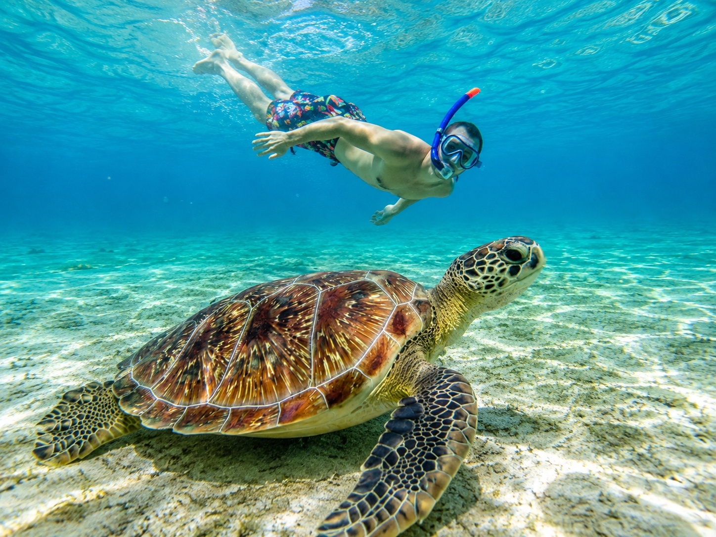 Snorkeling à Anse Dufour