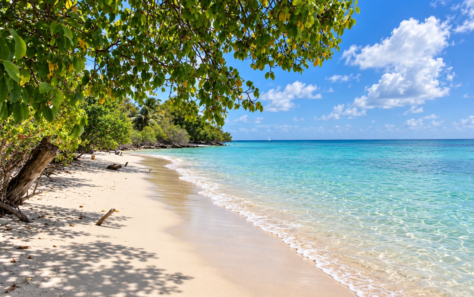 Plage de Martinique