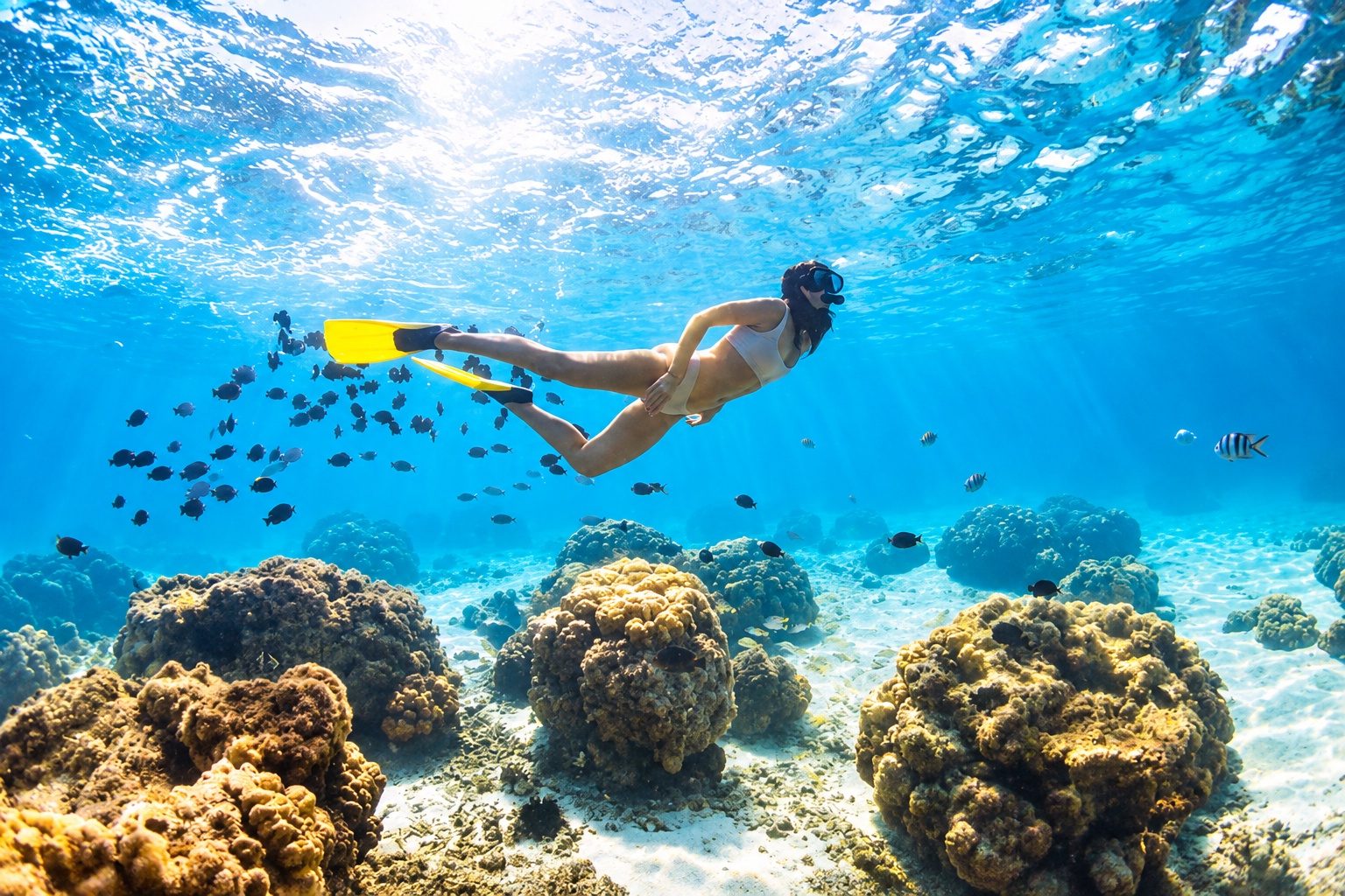 Les activités en Martinique