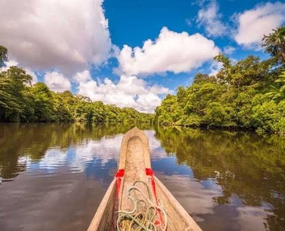 Les meilleures activités en Guyane