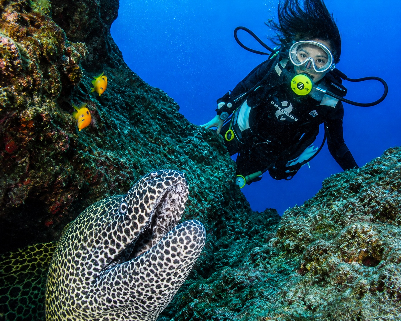 Plongée sous marine